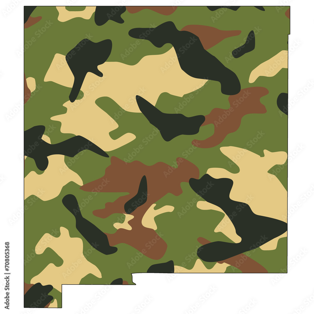 Camo texture in map - New Mexico Camo texture in map - New Mexico