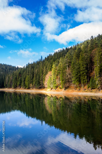 Fototapeta Naklejka Na Ścianę i Meble -  pine forest and lake near the mountain early in the morning