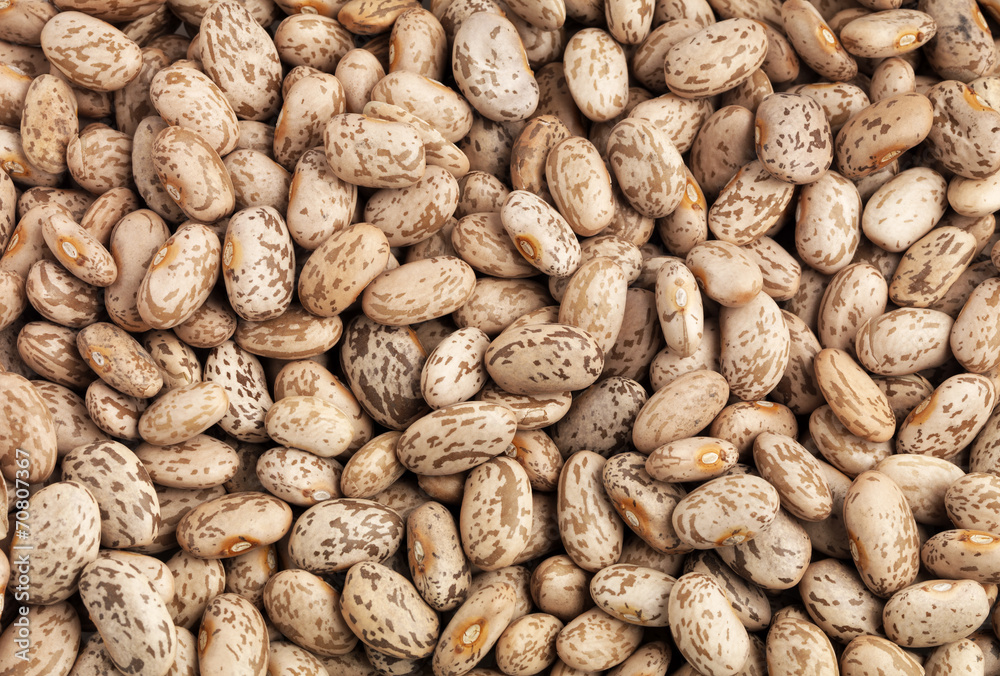 Pinto Beans Pinto Beans