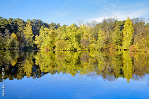 Trees on the shore of lake in autumn