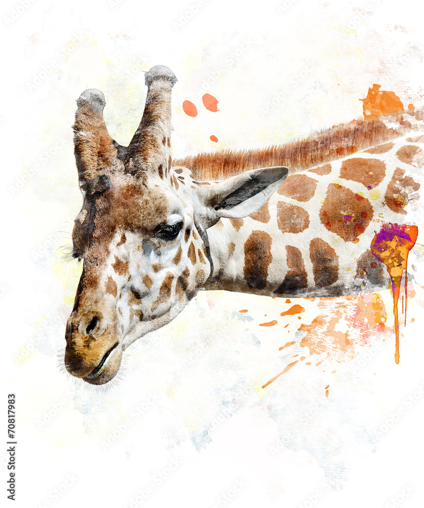 Fototapeta premium Watercolor Image Of Giraffe