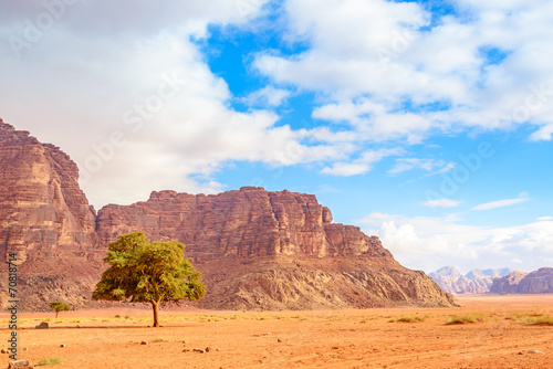 The Valley of the Moon in Wadi Rum  Jordan.