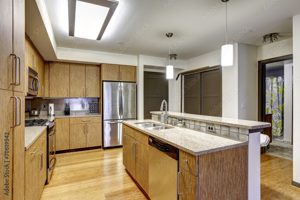 Modern apartment interior. KItchen with granite tops Modern apartment interior. KItchen with granite tops