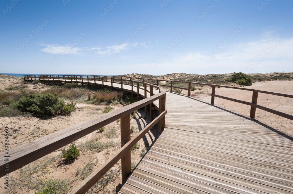Wooden walkway over dunes, Elche, Spain
