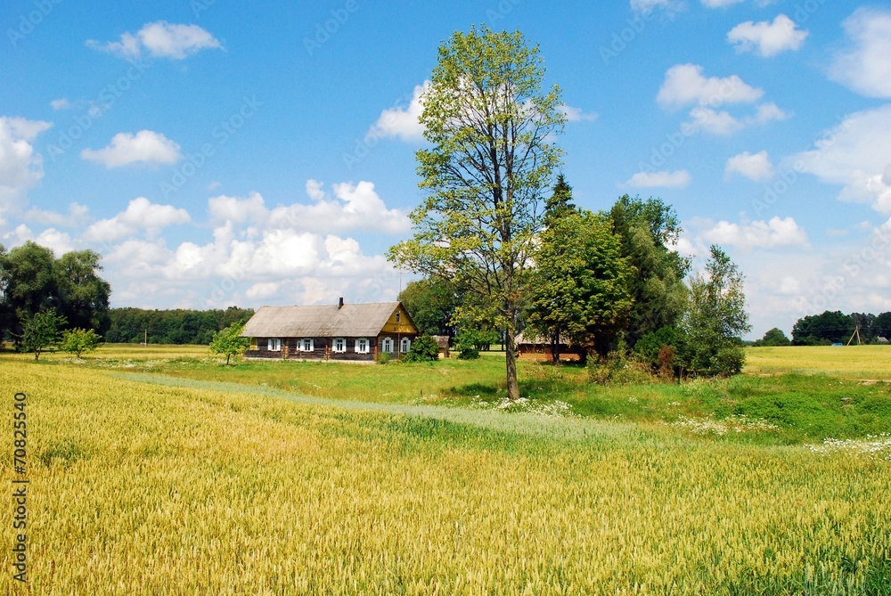Old house in lithuanian village