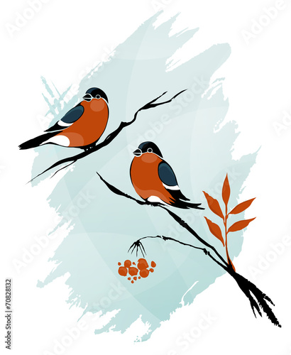Outline Winter Birds on Branches Ink on Watercolor Style