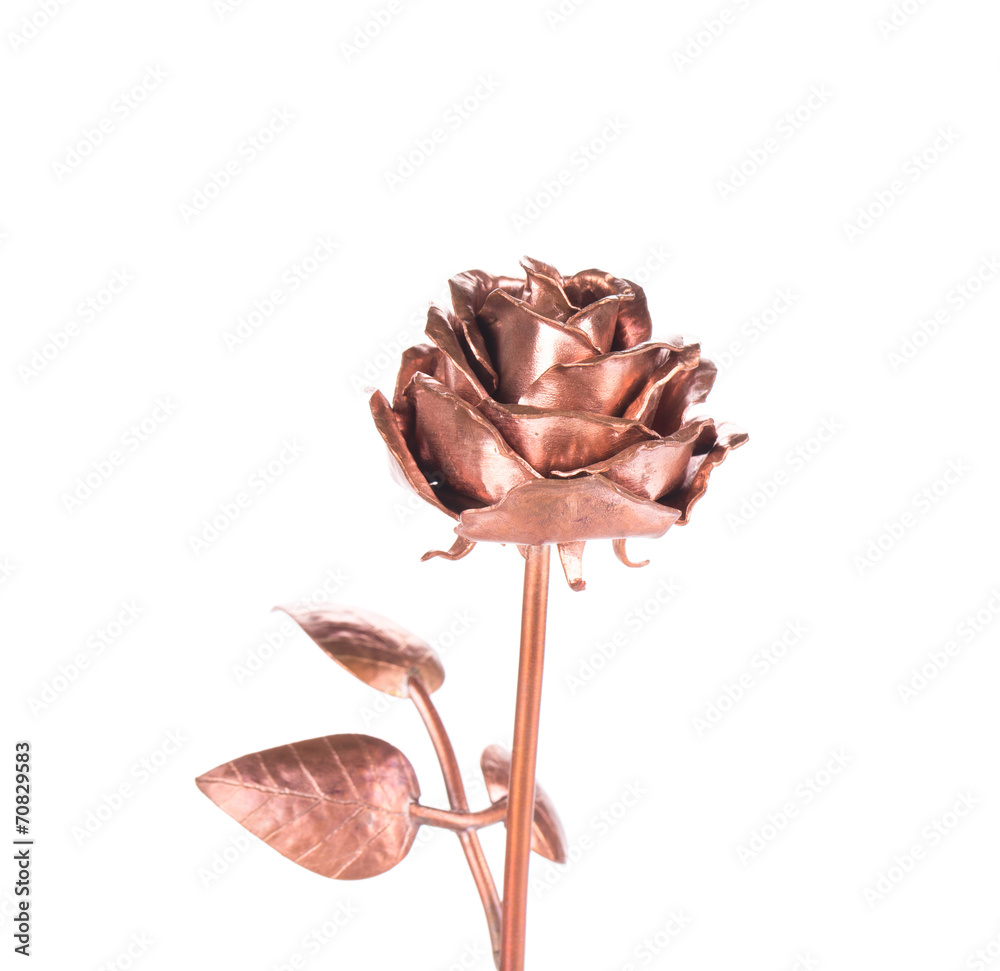 Beautiful bronze rose. - obrazy, fototapety, plakaty 
