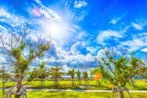 Photography Sun shining in tropical island, Okinawa