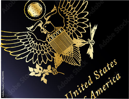 USA Passport Closeup