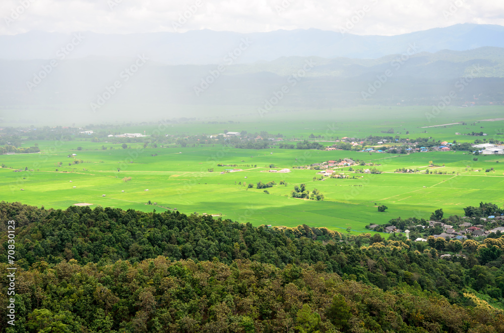 nature view on rainy season in Chiang Rai,Thailand