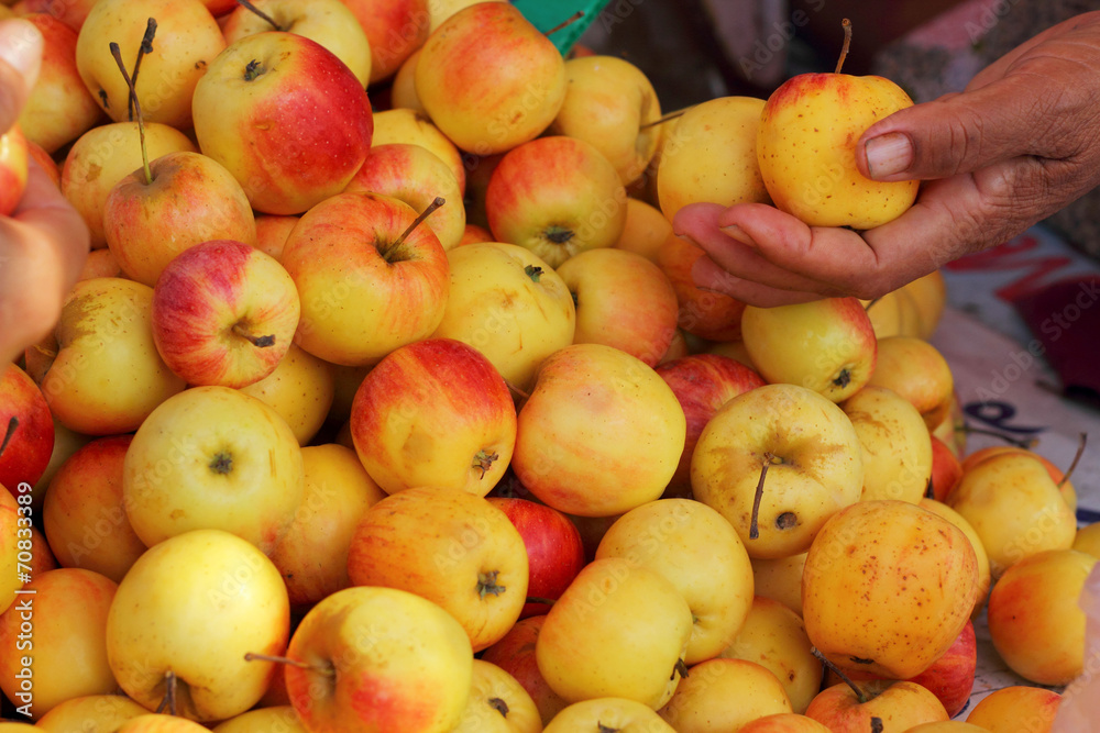 Red apples fresh in hand.