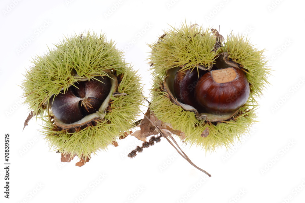 Chestnuts