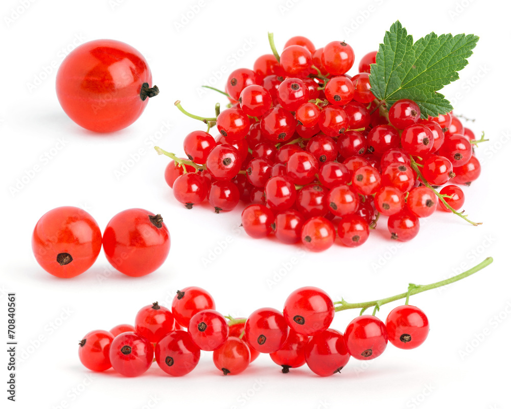 Red currants Red currants
