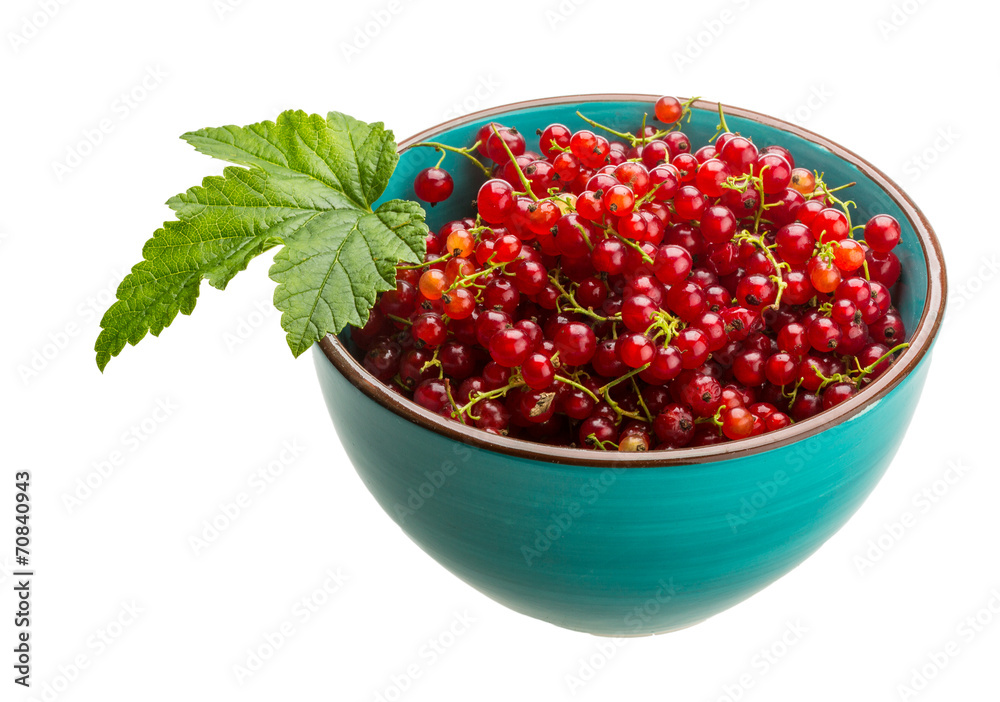 Red currant Red currant