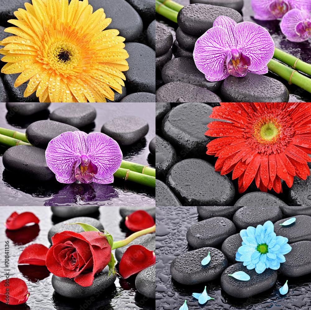 Kwiaty na kamieniach bazaltowych - obrazy, fototapety, plakaty 