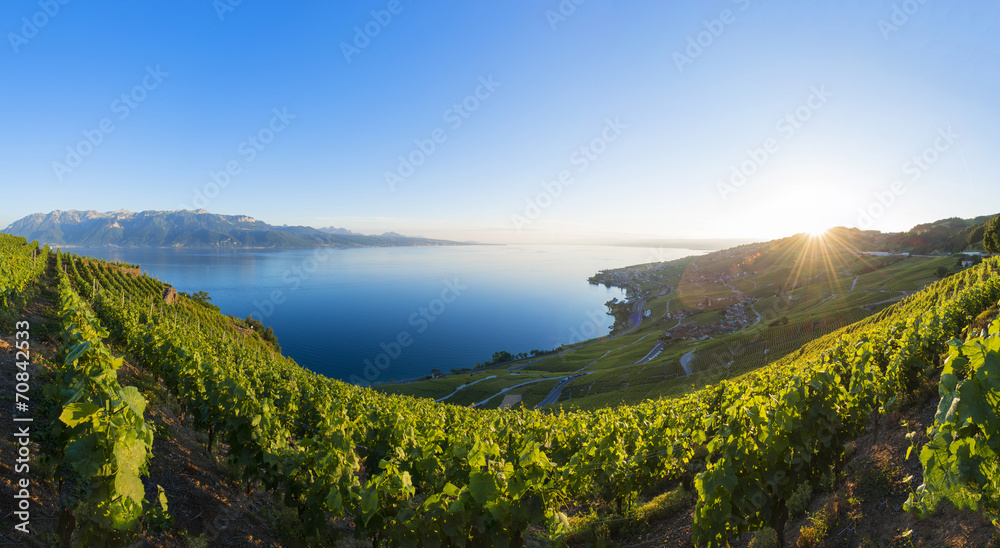 Lavaux Panorama