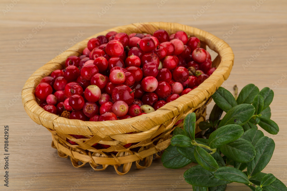 Cowberry Cowberry