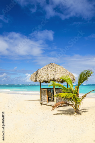 A beautiful Caribbean beach with hut covered with palm leaves