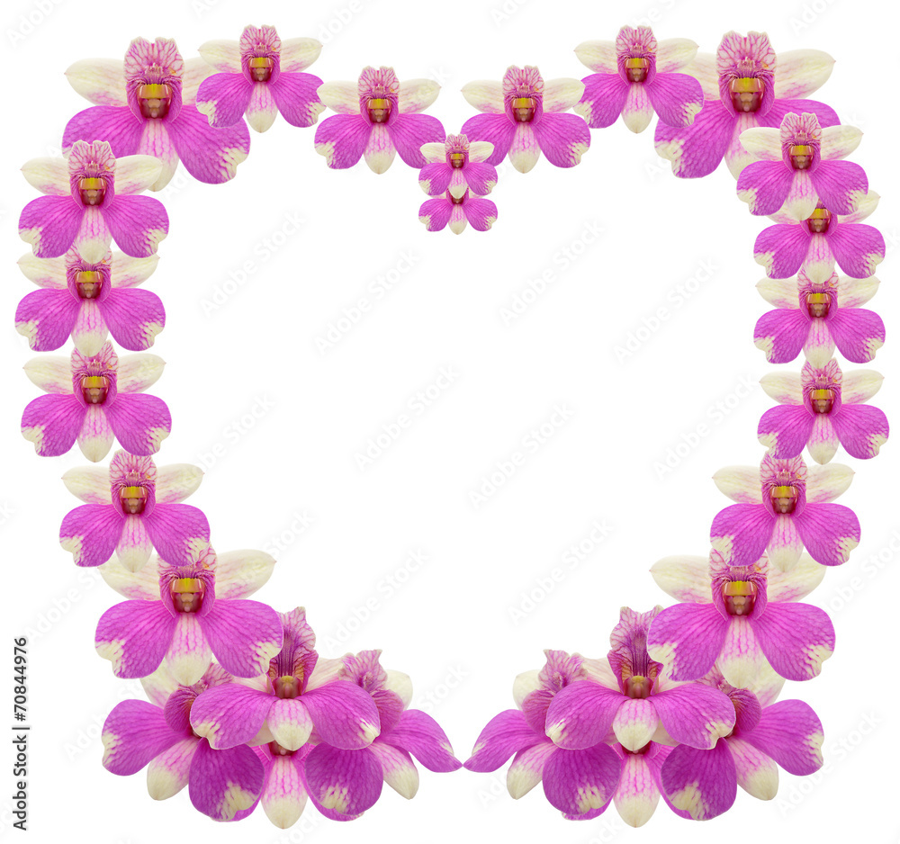 Purple orchid isolated over white background Purple orchid isolated over white background