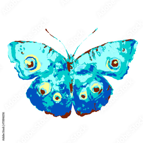 butterflies design