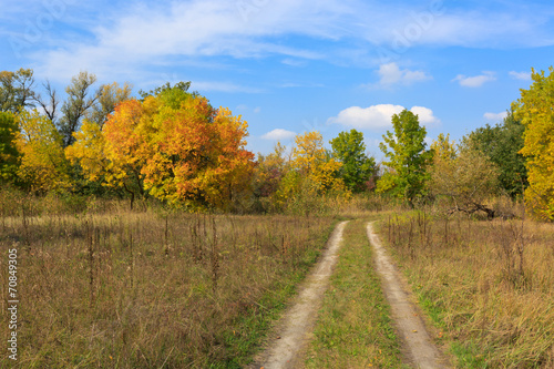 rut road among autumn meadow
