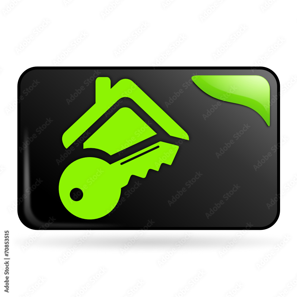 maison sous alarme sur bouton web rectangle vert
