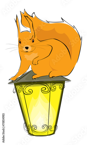 Белка и фонарь