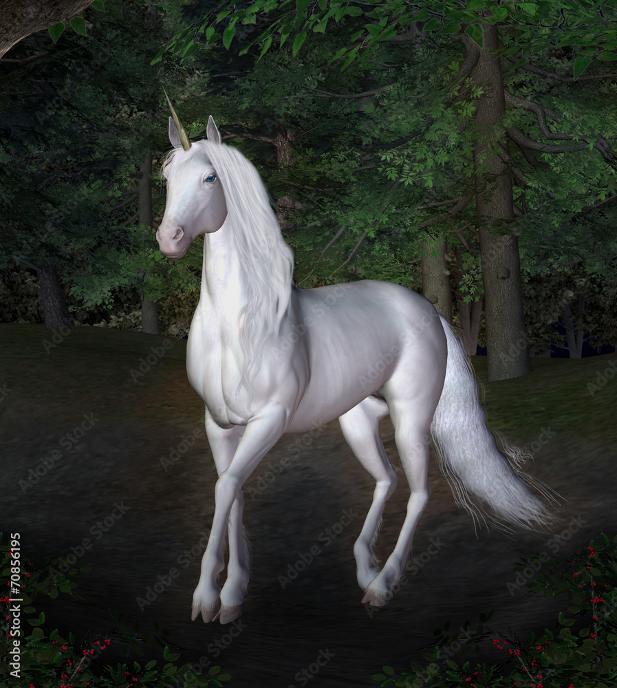Unicorn in a night forest