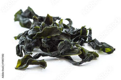 pacific wakame photo