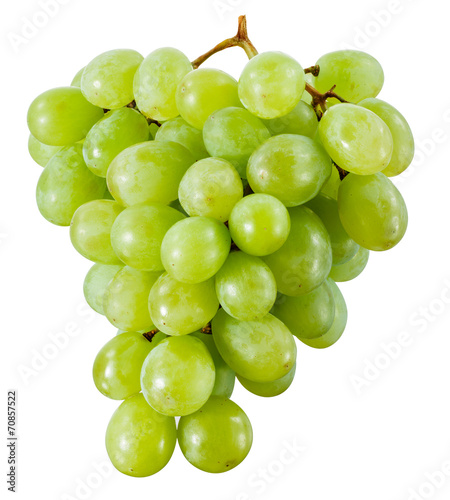 Obraz na plátně Green grape isolated. With clipping path
