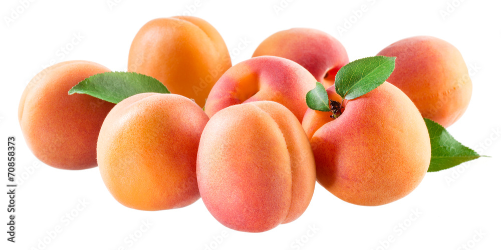Apricots. Group of ripe fruits isolated on white background Apricots. Group of ripe fruits isolated on white background