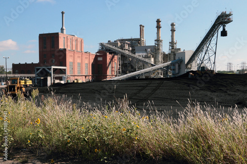 Coal Fired Power Plant Coal Yard Wildflowers