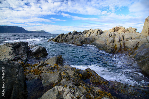 Wallpaper Mural Rugged Coastline in Newfoundland, Canada Torontodigital.ca