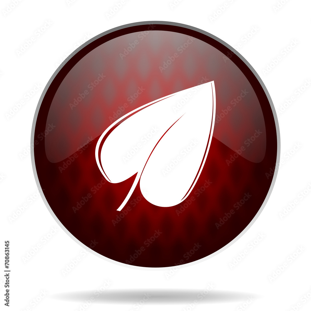 leaf red glossy web icon on white background. leaf red glossy web icon on white background.