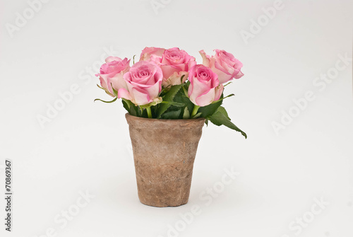 Wallpaper Mural Vaso con le rose Torontodigital.ca