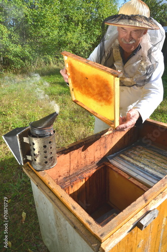 doświadczony pszczelarz pracujący w pasiece