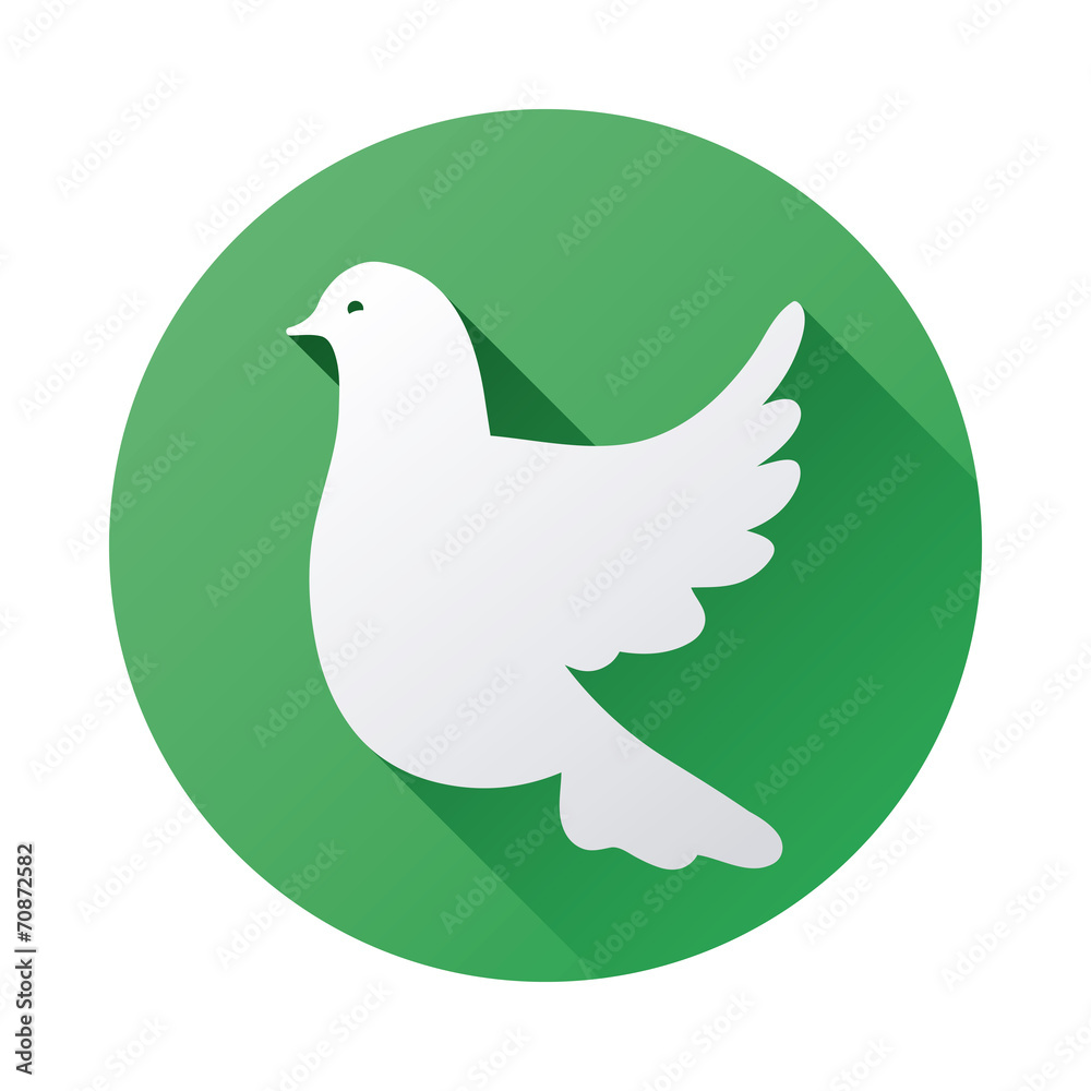 bird design bird design