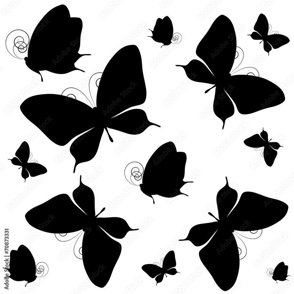 Fototapeta premium butterflies design