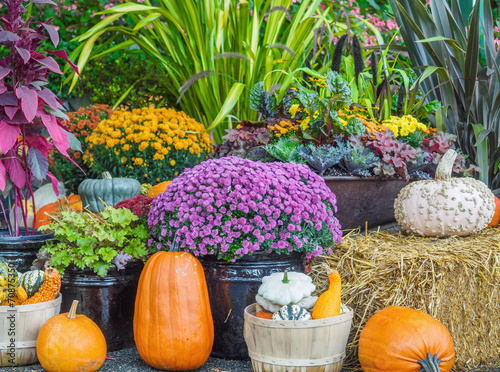 Thansgiving produce display photo