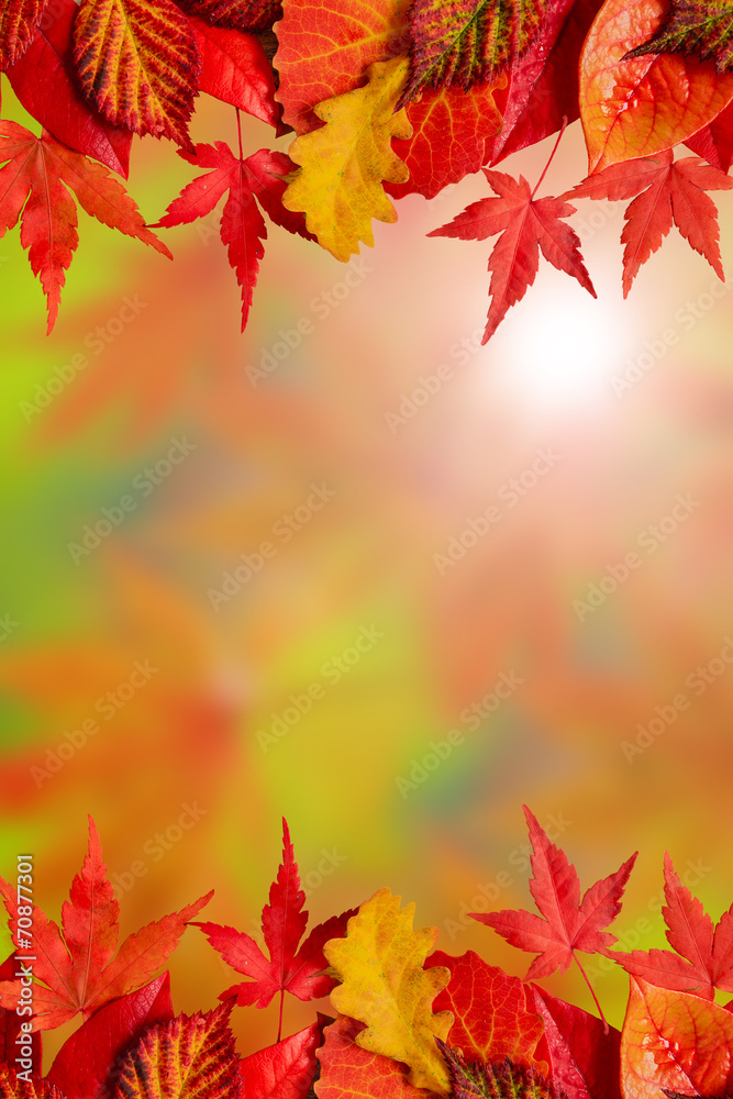 Autumn background Autumn background