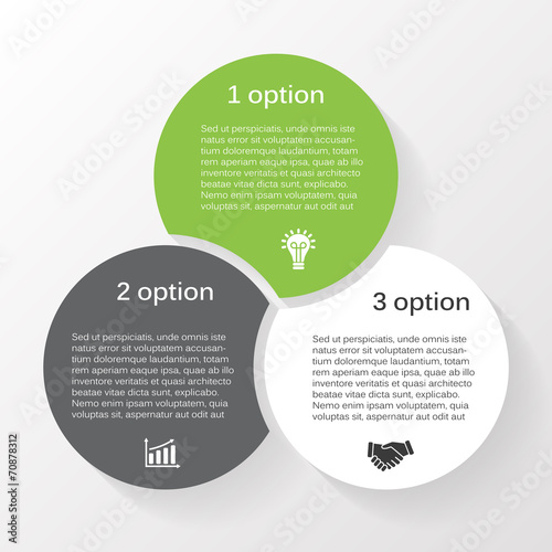 Vector circle infographic diagram 3 options