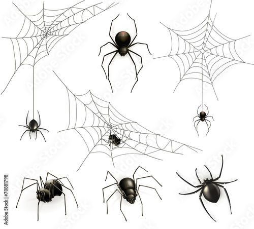 Spiders and spider web, vector set