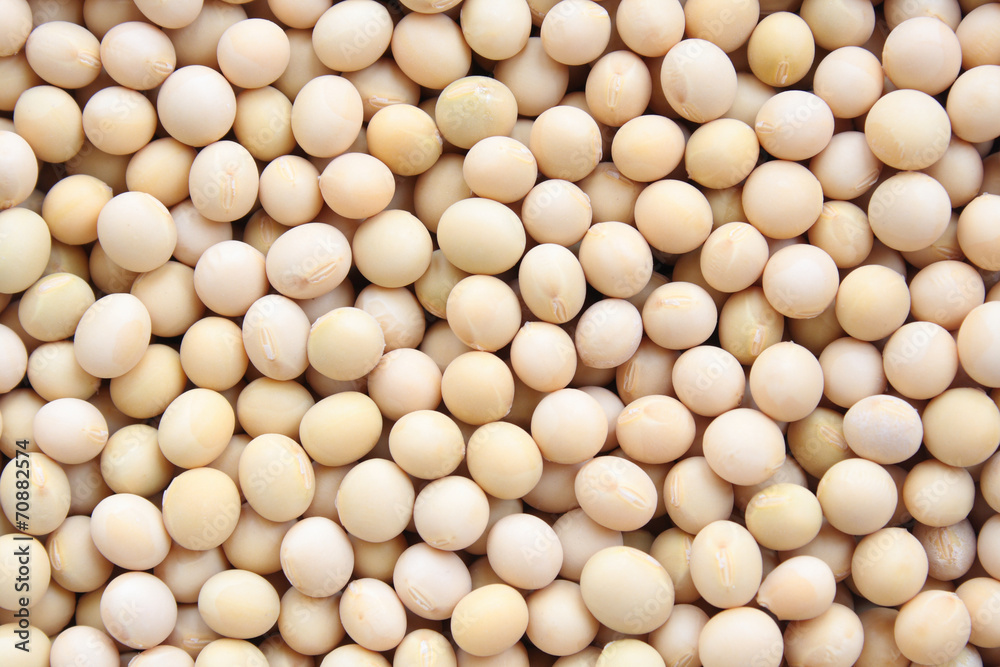 soybeans background