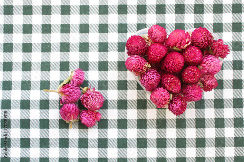 Obraz na płótnie Globe amaranth