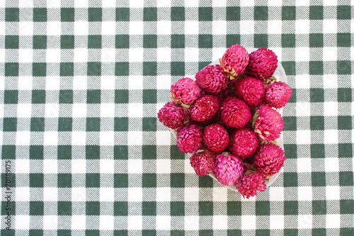 Obraz na płótnie Globe amaranth