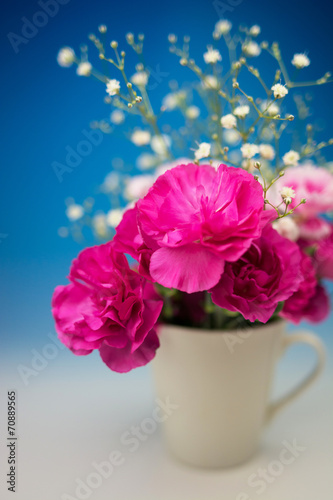 カーネーション