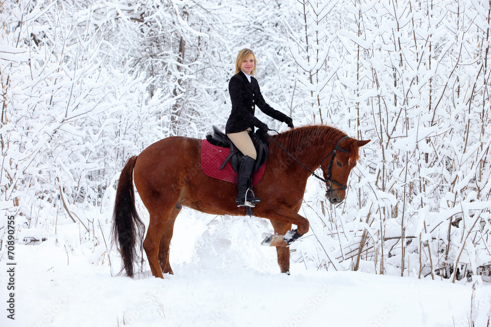 Girl and bay stallion - riding horseback in snowfall Girl and bay stallion - riding horseback in snowfall