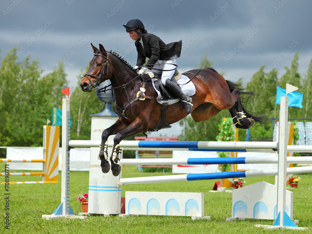 Rider on bay horse in sports jumping show
