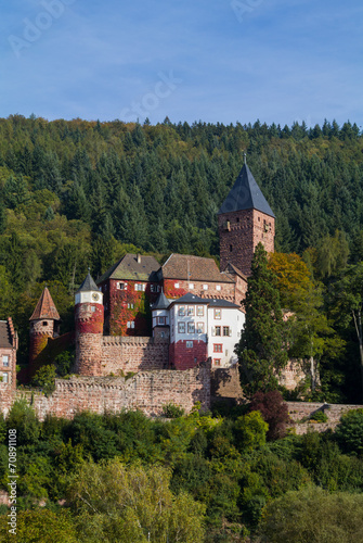Burg Zwingenberg / Zwingenburg