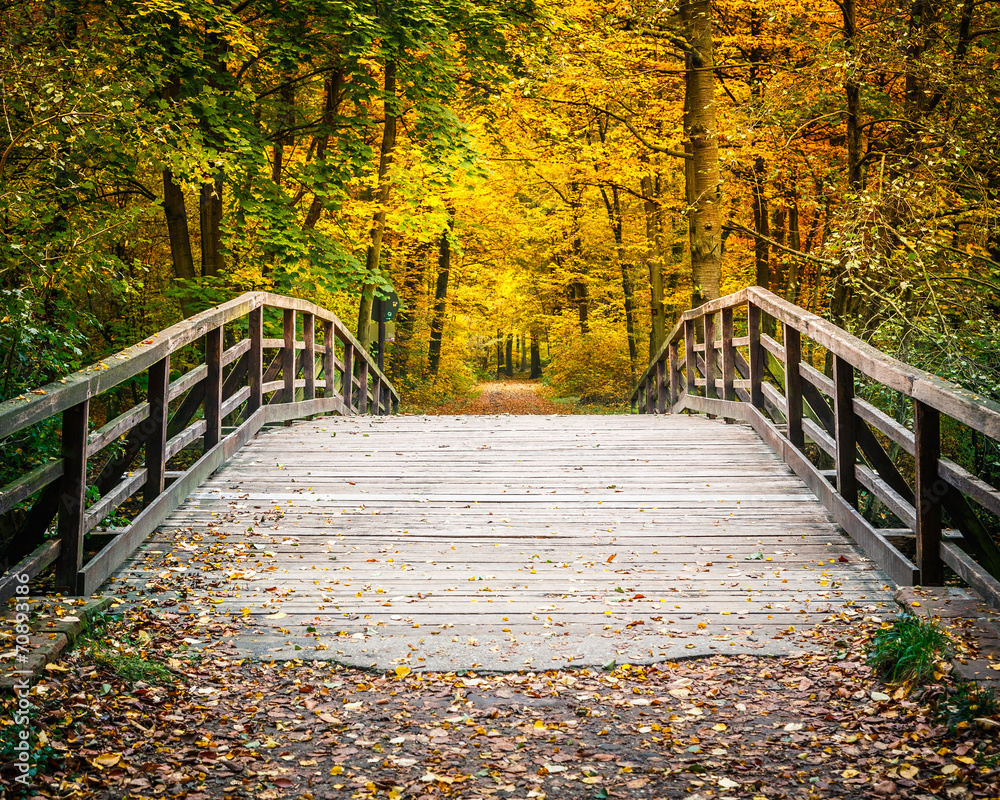 Fototapeta Bridge in autumn forest